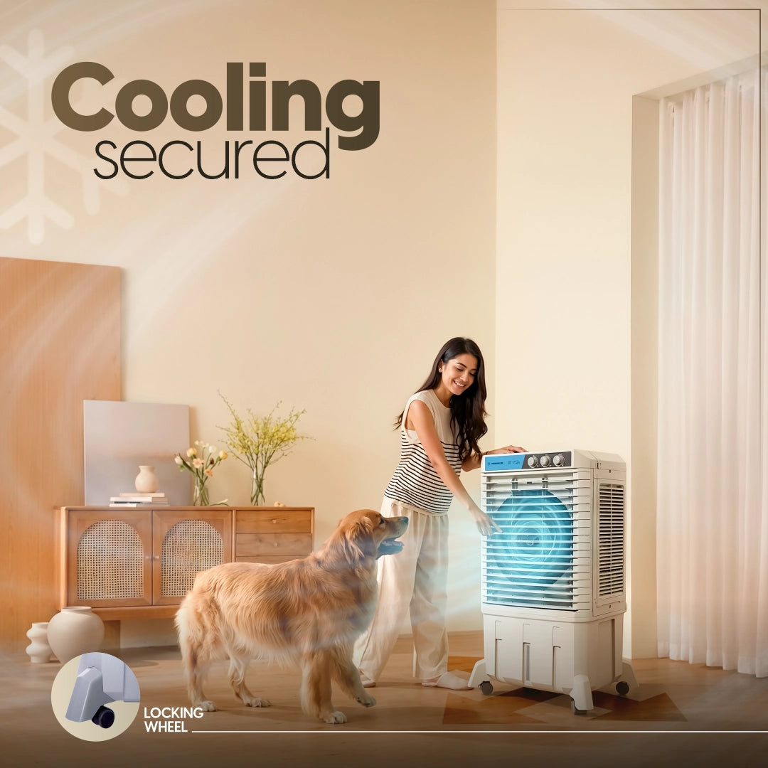 Tiara 75 Ltr Air Cooler