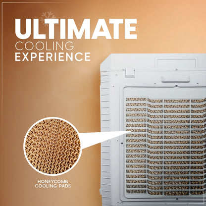Tiara 75 Ltr Air Cooler